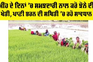 Punjab Paddy Cultivation: ਮੀਂਹ ਦੇ ਦਿਨਾਂ ’ਚ ਸਮਝਦਾਰੀ ਨਾਲ ਕਰੋ ਝੋਨੇ ਦੀ ਖੇਤੀ, ਪਾਣੀ ਭਰਨ ਦੀ ਸਥਿਤੀ ’ਚ ਰਹੋ ਸਾਵਧਾਨ