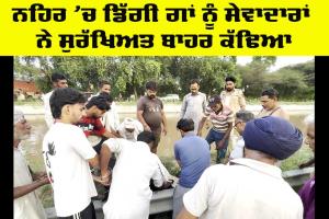 Animal Welfare: ਨਹਿਰ ’ਚ ਡਿੱਗੀ ਗਊ ਨੂੰ ਸੇਵਾਦਾਰਾਂ ਨੇ ਸੁਰੱਖਿਅਤ ਬਾਹਰ ਕੱਢਿਆ