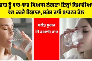 Health Tips: ਰਾਤ ਨੂੰ ਵਾਰ-ਵਾਰ ਪਿਆਸ ਲੱਗਣਾ, ਕੀ ਇਹ ਕਿਸੇ ਗੰਭੀਰ ਬਿਮਾਰੀ ਦੇ ਸੰਕੇਤ ਤਾਂ ਨਹੀਂ?