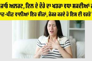 Heart Attack: ਹੋ ਜਾਓ ਅਲਰਟ, ਦਿਲ ਦੇ ਦੌਰੇ ਦਾ ਖਤਰਾ ਵਧਾ ਸਕਦੀਆਂ ਹਨ ਖਾਣ-ਪੀਣ ਵਾਲੀਆਂ ਇਹ ਚੀਜ਼ਾਂ, ਜੇਕਰ ਕਰਦੇ ਹੋ ਇਸ ਦੀ ਵਰਤੋਂ…