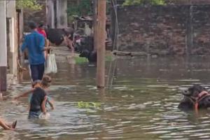 Jalandhar Flood News: ਜਲੰਧਰ ’ਚ ਮੀਂਹ ਕਾਰਨ ਹੜ੍ਹ ਪ੍ਰਭਾਵਿਤ ਪਿੰਡ ’ਚ ਸਥਿਤੀ ਹੋਰ ਵਿਗੜੀ