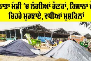 Nabha News: ਨਾਭਾ ਮੰਡੀ ’ਚ ਲੱਗੀਆਂ ਰੌਣਕਾਂ, ਕਿਸਾਨਾਂ ਦੇ ਚਿਹਰੇ ਮੁਰਝਾਏ, ਵਧੀਆਂ ਮੁਸ਼ਕਿਲਾਂ