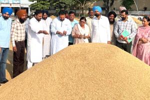 Paddy Purchase: ਵਿਧਾਇਕ ਗੁਰਿੰਦਰ ਸਿੰਘ ਗੈਰੀ ਬੜਿੰਗ ਨੇ ਅਮਲੋਹ ਅਨਾਜ ਮੰਡੀ ’ਚ ਝੋਨੇ ਦੀ ਸਰਕਾਰੀ ਖਰੀਦ ਸ਼ੁਰੂ ਕਰਵਾਈ