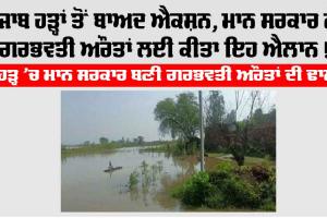 Punjab Flood: ਪੰਜਾਬ ਹੜ੍ਹਾਂ ਤੋਂ ਬਾਅਦ ਐਕਸ਼ਨ, ਮਾਨ ਸਰਕਾਰ ਨੇ ਗਰਭਵਤੀ ਔਰਤਾਂ ਲਈ ਕੀਤਾ ਇਹ ਐਲਾਨ!
