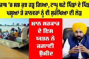 Punjab Flood: ਪੰਜਾਬ ‘ਚ ਸਭ ਕੁਝ ਹੜ੍ਹ ਗਿਆ, ਟਾਪੂ ਬਣੇ ਪਿੰਡਾਂ ਦੇ ਪਿੰਡ, ਪਸ਼ੂਆਂ ਤੇ ਜਾਨਵਰਾਂ ਨੂੰ ਵੀ ਸੁਰੱਖਿਆ ਦੀ ਲੋੜ, ਮਾਨ ਸਰਕਾਰ ਦੇ ਇਸ ਯਤਨ ਨੇ ਜਗਾਈ ਉਮੀਦ