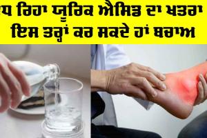 Uric Acid Symptoms: ਵਧ ਰਿਹਾ ਯੂਰਿਕ ਐਸਿਡ ਦਾ ਖ਼ਤਰਾ! ਇਸ ਤਰ੍ਹਾਂ ਕਰ ਸਕਦੇ ਹਾਂ ਬਚਾਅ