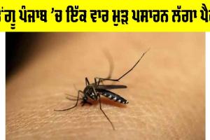 Dengue Cases In Punjab: ਡੇਂਗੂ ਪੰਜਾਬ ’ਚ ਇੱਕ ਵਾਰ ਮੁੜ ਪਸਾਰਨ ਲੱਗਾ ਪੈਰ