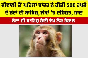Diwali 2025: ਦੀਵਾਲੀ ਤੋਂ ਪਹਿਲਾਂ ਬਾਂਦਰ ਨੇ ਕੀਤੀ 500 ਰੁਪਏ ਦੇ ਨੋਟਾਂ ਦੀ ਬਾਰਿਸ਼, ਲੋਕਾਂ ਚ ਦਹਿਸ਼ਤ, ਜਾਣੋ