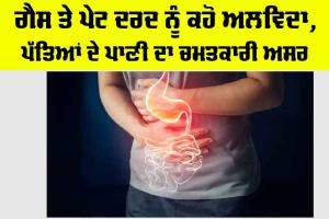Healthy Tips For Stomach: ਗੈਸ ਤੇ ਪੇਟ ਦਰਦ ਨੂੰ ਕਹੋ ਅਲਵਿਦਾ, ਪੱਤਿਆਂ ਦੇ ਪਾਣੀ ਦਾ ਚਮਤਕਾਰੀ ਅਸਰ