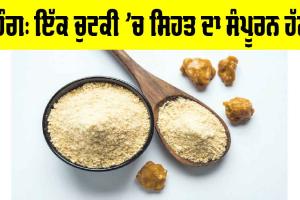 Health Tips: ਹਿੰਗ: ਇੱਕ ਚੁਟਕੀ ’ਚ ਸਿਹਤ ਦਾ ਸੰਪੂਰਨ ਹੱਲ