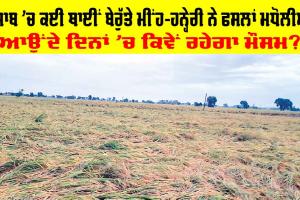 Rain In Punjab: ਮੌਸਮ ਦੀ ਮਾਰ, ਪੰਜਾਬ ’ਚ ਕਈ ਥਾਈਂ ਬੇਰੁੱਤੇ ਮੀਂਹ-ਹਨ੍ਹੇਰੀ ਨੇ ਫਸਲਾਂ ਮਧੋਲੀਆਂ