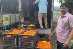 Rain: ਨਾਸਿਕ ’ਚ ਮੀਂਹ ਨੇ ਦੁਸਹਿਰੇ ਦਾ ਰੰਗ ਕੀਤਾ ਫਿੱਕਾ, ਫੁੱਲ ਉਤਪਾਦਕਾਂ ਨੂੰ ਭਾਰੀ ਨੁਕਸਾਨ