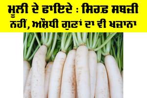 Benefits Of Radish: ਮੂਲੀ ਦੇ ਫਾਇਦੇ, ਸਿਰਫ਼ ਸਬਜ਼ੀ ਨਹੀਂ, ਔਸ਼ਧੀ ਗੁਣਾਂ ਦਾ ਵੀ ਖ਼ਜ਼ਾਨਾ