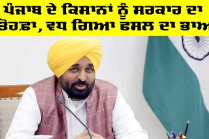 CM Punjab: ਪੰਜਾਬ ਦੇ ਕਿਸਾਨਾਂ ਨੂੰ ਸਰਕਾਰ ਦਾ ਤੋਹਫ਼ਾ, ਵਧ ਗਿਆ ਫਸਲ ਦਾ ਭਾਅ