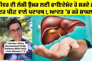 Liver Health: ਲੀਵਰ ਦੀ ਲੰਮੀ ਉਮਰ ਲਈ ਫਾਇਦੇਮੰਦ ਹੋ ਸਕਦੇ ਨੇ ਇਹ ਪੀਣ ਵਾਲੇ ਪਦਾਰਥ, ਆਦਤ ’ਚ ਕਰੋ ਸ਼ਾਮਲ