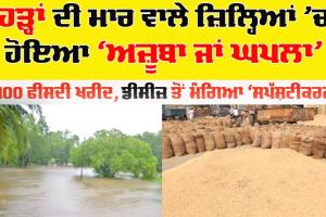 Punjab: ਹੜ੍ਹਾਂ ਦੀ ਮਾਰ ਵਾਲੇ ਜ਼ਿਲ੍ਹਿਆਂ ’ਚ ਹੋਇਆ ‘ਅਜ਼ੂਬਾ ਜਾਂ ਘਪਲਾ’, 100 ਫੀਸਦੀ ਖਰੀਦ, ਡੀਸੀਜ਼ ਤੋਂ ਮੰਗਿਆ ‘ਸਪੱਸ਼ਟੀਕਰਨ’
