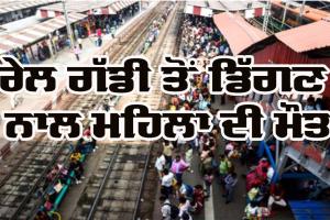 Railway Incident: ਰੇਲ ਗੱਡੀ ਤੋਂ ਡਿੱਗਣ ਨਾਲ ਮਹਿਲਾ ਦੀ ਮੌਤ