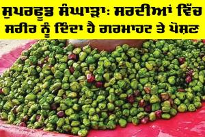 Sanghaada Superfood: ਸੁਪਰਫੂਡ ਸੰਘਾੜਾ, ਸਰਦੀਆਂ ਵਿੱਚ ਸਰੀਰ ਨੂੰ ਦਿੰਦਾ ਹੈ ਗਰਮਾਹਟ ਤੇ ਪੋਸ਼ਣ