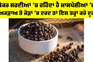 Winter Muscle Stiffness Relief: ਜੇਕਰ ਸਰਦੀਆਂ ’ਚ ਰਹਿੰਦਾ ਹੈ ਮਾਸਪੇਸ਼ੀਆਂ ’ਚ ਅਕੜਾਅ ਤੇ ਜੋੜਾਂ ’ਚ ਦਰਦ ਤਾਂ ਇਸ ਤਰ੍ਹਾਂ ਕਰੋ ਦੂਰ