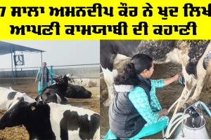 Success Story: 27 ਸਾਲਾ ਅਮਨਦੀਪ ਕੌਰ ਨੇ ਖੁਦ ਲਿਖੀ ਆਪਣੀ ਕਾਮਯਾਬੀ ਦੀ ਕਹਾਣੀ
