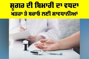 Diabetes: ਸ਼ੂਗਰ ਦੀ ਬਿਮਾਰੀ ਦਾ ਵਧਦਾ ਖ਼ਤਰਾ ਤੇ ਬਚਾਓ ਲਈ ਸਾਵਧਾਨੀਆਂ
