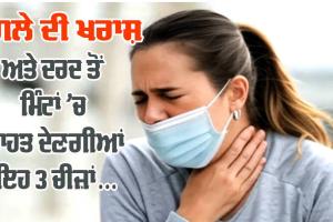 Home Remedies: ਗਲੇ ਦੀ ਖਰਾਸ਼ ਅਤੇ ਦਰਦ ਤੋਂ ਮਿੰਟਾਂ ’ਚ ਰਾਹਤ ਦੇਣਗੀਆਂ ਇਹ ਤਿੰਨ ਚੀਜ਼ਾਂ, ਸਰਦੀਆਂ ’ਚ ਇਸ ਤਰ੍ਹਾਂ ਕਰੋ ਵਰਤੋਂ