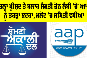 Lambi News: ਜ਼ਿਲ੍ਹਾ ਪ੍ਰੀਸ਼ਦ ਤੇ ਬਲਾਕ ਸੰਮਤੀ ਜੋਨ ਲੰਬੀ ’ਚੋਂ ਆਪ ਨੂੰ ਤਕੜਾ ਝਟਕਾ, ਮਲੋਟ ’ਚ ਸਥਿਤੀ ਵਧੀਆ