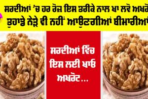 Walnuts Benefits: ਸਰਦੀਆਂ ’ਚ ਤੁਹਾਨੂੰ ਸਿਹਤਮੰਦ ਰੱਖੇਗਾ ਅਖਰੋਟ, ਜਾਣੋ ਇਸ ਨੂੰ ਖਾਣ ਦੇ 6 ਵੱਡੇ ਫਾਇਦੇ…