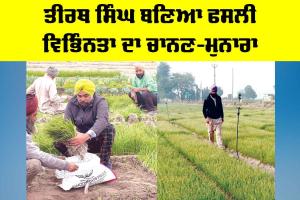Kisan News: ਤੀਰਥ ਸਿੰਘ ਬਣਿਆ ਫਸਲੀ ਵਿਭਿੰਨਤਾ ਦਾ ਚਾਨਣ-ਮੁਨਾਰਾ
