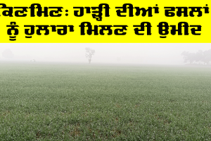 ਪੰਜਾਬ ਦੇ ਕਈ ਜ਼ਿਲ੍ਹਿਆਂ ’ਚ ਕਿਣਮਿਣ, ਹਾੜ੍ਹੀ ਦੀਆਂ ਫਸਲਾਂ ਨੂੰ ਹੁਲਾਰਾ ਮਿਲਣ ਦੀ ਉਮੀਦ