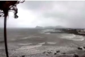 Storm: ਸਿਡਨੀ ’ਚ ਤੂਫਾਨ ਨੇ ਮਚਾਈ ਤਬਾਹੀ- ਕਾਰ ‘ਤੇ ਦਰੱਖਤ ਡਿੱਗਿਆ, ਔਰਤ ਦੀ ਮੌਤ