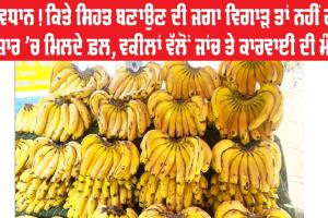 Food And Safety: ਸਾਵਧਾਨ! ਕਿਤੇ ਸਿਹਤ ਬਣਾਉਣ ਦੀ ਜਗ੍ਹਾ ਵਿਗਾੜ ਤਾਂ ਨਹੀਂ ਰਹੇ ਬਜ਼ਾਰ ‘ਚ ਮਿਲਦੇ ਫ਼ਲ, ਵਕੀਲਾਂ ਵੱਲੋਂ ਜਾਂਚ ਤੇ ਕਾਰਵਾਈ ਦੀ ਮੰਗ