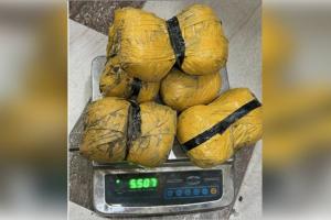 Punjab Crime News: ਪੰਜਾਬ ਪੁਲਿਸ ਵੱਲੋਂ ਨਸ਼ੀਲੇ ਪਦਾਰਥਾਂ ਦੀ ਤਸਕਰੀ ਕਰਨ ਵਾਲੇ ਮਾਡਿਊਲ ਦਾ ਪਰਦਾਫਾਸ਼ ,ਇੱਕ ਗ੍ਰਿਫ਼ਤਾਰ