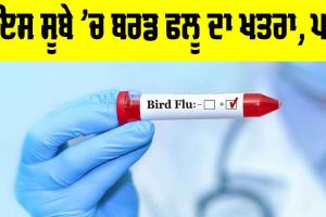 ਇਸ ਸੂਬੇ ’ਚ ਬਰਡ ਫਲੂ ਦਾ ਖਤਰਾ, ਸਰਕਾਰ ਨੇ ਵਧਾਈ ਚੌਕਸੀ