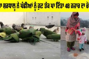 Welfare Work: ਡੇਰਾ ਸ਼ਰਧਾਲੂ ਨੇ ਪੰਛੀਆਂ ਨੂੰ ਹੁਣ ਤੱਕ ਪਾ ਦਿੱਤਾ 48 ਹਜ਼ਾਰ ਦਾ ਚੋਗਾ