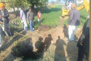 ​​Animal Welfare Punjab: ਡੇਰਾ ਸ਼ਰਧਾਲੂਆਂ ਨੇ ਖੂਹ ’ਚ ਡਿੱਗਿਆਂ ਗਾਵਾਂ ਨੂੰ ਸੁਰੱਖਿਅਤ ਬਾਹਰ ਕੱਢਿਆ