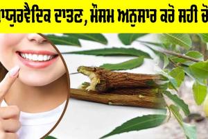 Ayurvedic Datun: ਆਯੁਰਵੈਦਿਕ ਦਾਤਣ, ਮੌਸਮ ਅਨੁਸਾਰ ਕਰੋ ਸਹੀ ਚੋਣ
