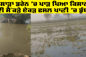Lasara Drain: ਲਸਾੜਾ ਡਰੇਨ ‘ਚ ਪਾੜ ਪਿਆ ਕਿਸਾਨਾਂ ਦੀ ਸੈਂਕੜੇ ਏਕੜ ਫਸਲ ਪਾਣੀ ‘ਚ ਡੁੱਬੀ