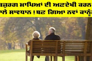 ਬਜ਼ੁਰਗ ਮਾਪਿਆਂ ਦੀ ਅਣਦੇਖੀ ਕਰਨ ਵਾਲੇ ਸਾਵਧਾਨ! ਬਣ ਗਿਆ ਨਵਾਂ ਕਾਨੂੰਨ