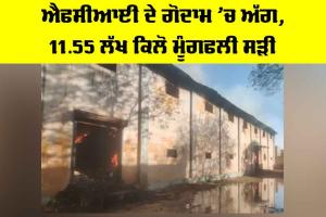 ਐਫਸੀਆਈ ਦੇ ਗੋਦਾਮ ’ਚ ਅੱਗ, 11.55 ਲੱਖ ਕਿਲੋ ਮੂੰਗਫਲੀ ਸੜੀ