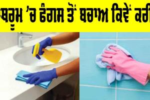 Bathroom Fungus Prevention: ਬਾਥਰੂਮ ’ਚ ਫੰਗਸ ਤੋਂ ਬਚਾਅ ਕਿਵੇਂ ਕਰੀਏ
