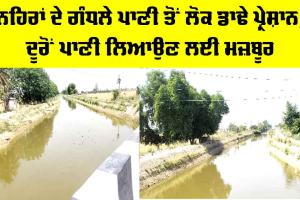 Canal Water Pollution: ਨਹਿਰਾਂ ਦੇ ਗੰਧਲੇ ਪਾਣੀ ਤੋਂ ਲੋਕ ਡਾਢੇ ਪ੍ਰੇਸ਼ਾਨ, ਦੂਰੋਂ ਪਾਣੀ ਲਿਆਉਣ ਲਈ ਮਜ਼ਬੂਰ