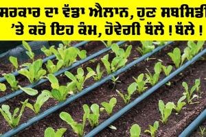 Farmer News: ਸਰਕਾਰ ਦਾ ਵੱਡਾ ਐਲਾਨ, ਹੁਣ ਸਬਸਿਡੀ ’ਤੇ ਕਰੋ ਇਹ ਕੰਮ, ਹੋਵੇਗੀ ਬੱਲੇ! ਬੱਲੇ!
