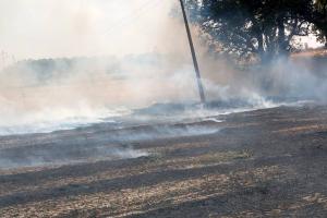 Badshahpur News: ਬਾਦਸ਼ਾਹਪੁਰ 'ਚ ਭਿਆਨਕ ਅੱਗ ਨੇ ਮਚਾਈ ਤਬਾਹੀ, 12 ਟਰਾਲੀਆਂ ਤੂੜੀ ਸੜ ਕੇ ਹੋਈ ਸੁਆਹ