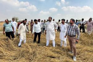 Fazilka News: ਵਿਧਾਇਕ ਜਗਦੀਪ ਕੰਬੋਜ ਗੋਲਡੀ ਵੱਲੋਂ ਮੀਂਹ ਤੇ ਗੜੇਮਾਰੀ ਕਾਰਨ ਅਰਨੀਵਾਲਾ ਬਲਾਕ ਦੇ ਪਿੰਡਾਂ ਦਾ ਦੌਰਾ