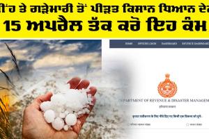 Haryana News: ਮੀਂਹ ਤੇ ਗੜੇਮਾਰੀ ਤੋਂ ਪੀੜਤ ਕਿਸਾਨ ਧਿਆਨ ਦੇਣ, 15 ਅਪਰੈਲ ਤੱਕ ਕਰੋ ਇਹ ਕੰਮ