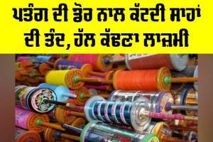 Kite String Danger: ਪਤੰਗ ਦੀ ਡੋਰ ਨਾਲ ਕੱਟਦੀ ਸਾਹਾਂ ਦੀ ਤੰਦ, ਹੱਲ ਕੱਢਣਾ ਲਾਜ਼ਮੀ