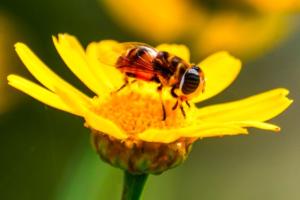 Low Oxygen Research: ਘੱਟ ਆਕਸੀਜਨ ਵਿੱਚ ਛੁਪਿਆ ਹੈ 'ਨਵੀਂ ਜ਼ਿੰਦਗੀ' ਦਾ ਰਾਜ਼, ਰਿਸਰਚ ਨੇ ਖੋਲ੍ਹਿਆ ਵੱਡਾ ਰਾਜ਼