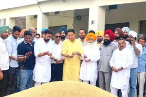 Mandi Wheat Purchase: ਮੰਤਰੀ ਅਮਨ ਅਰੋੜਾ ਨੇ ਸੁਨਾਮ ਵਿਖੇ ਕਣਕ ਦੀ ਖਰੀਦ ਸ਼ੁਰੂ ਕਰਵਾਈ