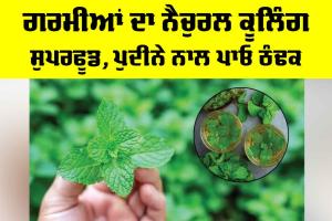 Mint Benefits: ਗਰਮੀਆਂ ਦਾ ਨੈਚੁਰਲ ਕੂਲਿੰਗ ਸੁਪਰਫੂਡ, ਪੁਦੀਨੇ ਨਾਲ ਪਾਓ ਠੰਢਕ